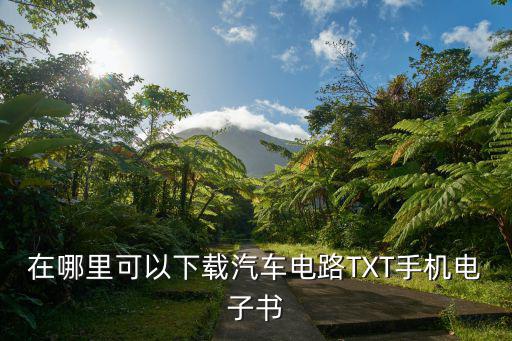 在哪里可以下载汽车电路TXT手机电子书