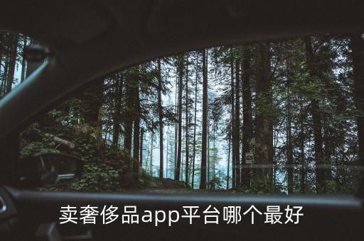 卖奢侈品app平台哪个最好