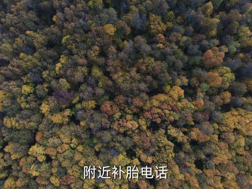 附近补胎电话