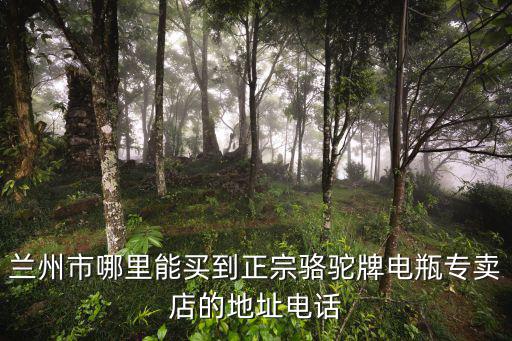兰州市哪里能买到正宗骆驼牌电瓶专卖店的地址电话