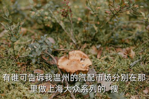 有谁可告诉我温州的汽配市场分别在那里做上海大众系列的  搜