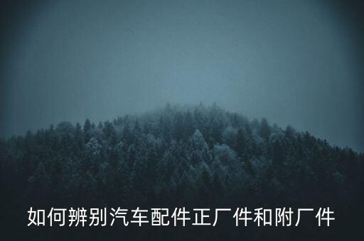 北汽汽车配件大全价格充电器，充电器价格