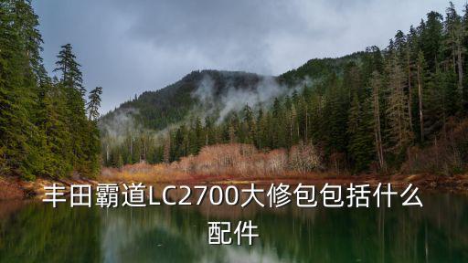 丰田霸道LC2700大修包包括什么配件