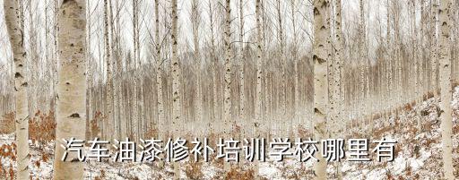 汽车油漆修补培训学校哪里有