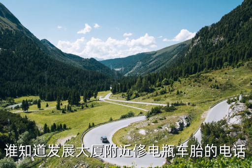 谁知道发展大厦附近修电瓶车胎的电话