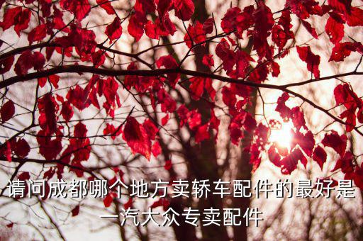 成都哪里卖汽车配件，请问成都哪个地方卖轿车配件的最好是一汽大众专卖配件