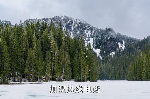 加盟热线电话