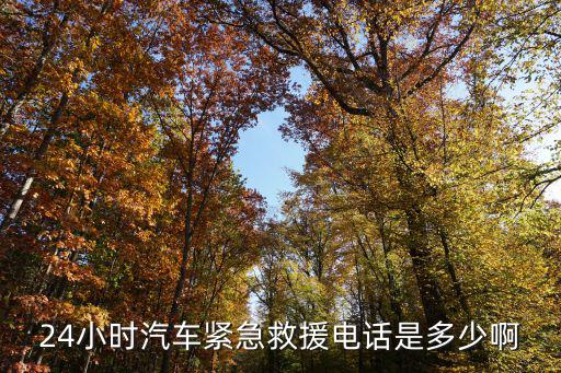 24小时汽车道路救援电话，24小时道路救援电话是多少