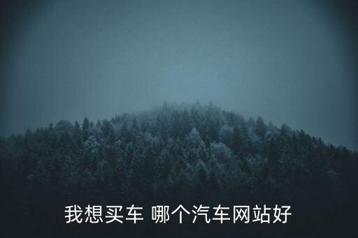 我想买车 哪个汽车网站好