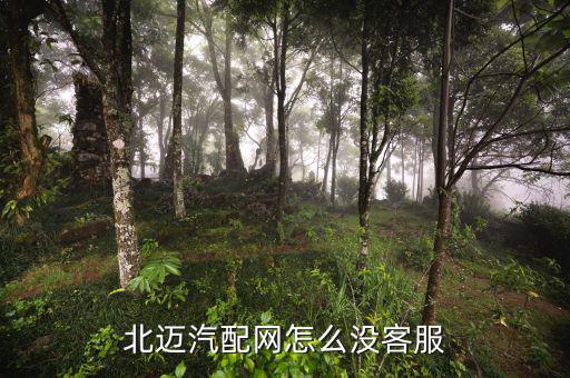 北迈汽配网怎么没客服