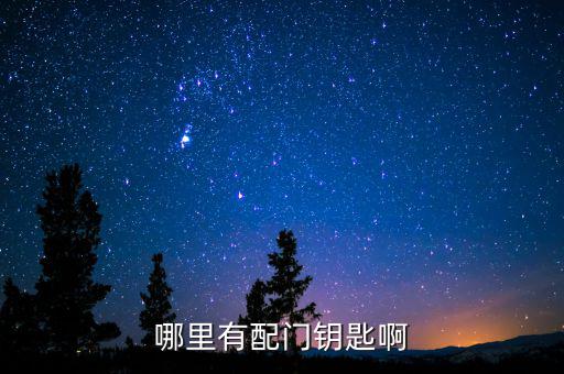 哪里有配门钥匙啊