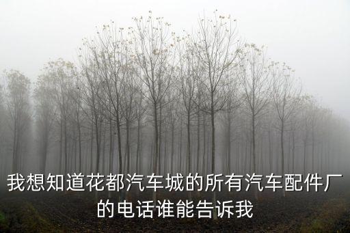 快准汽车配件店加盟电话，汽配145前付变速总成哪里买电话多少