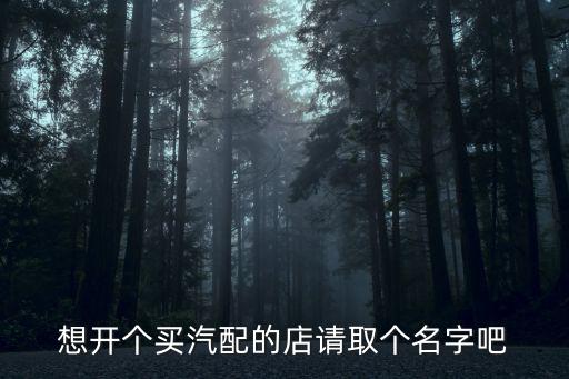 想开个买汽配的店请取个名字吧