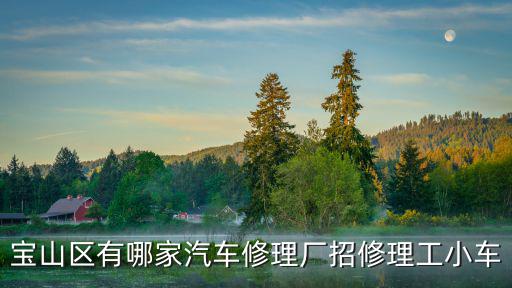 宝山区有哪家汽车修理厂招修理工小车