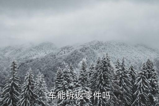 车能拆返零件吗