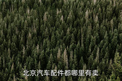 北京汽车配件都哪里有卖