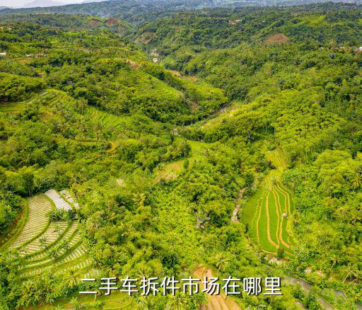二手车拆件市场在哪里