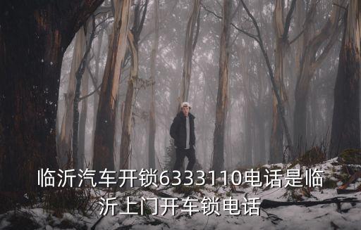 临沂汽车开锁6333110电话是临沂上门开车锁电话