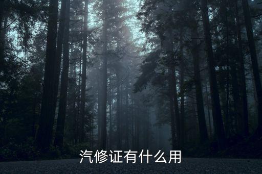 汽修证有什么用