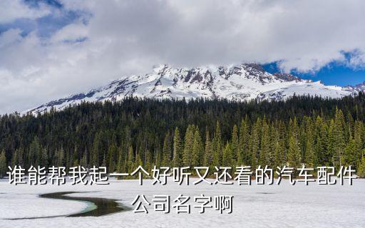 谁能帮我起一个好听又还看的汽车配件公司名字啊