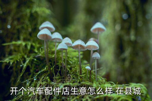 汽车配件店铺，湖南道县有多少家卖汽车配件的店