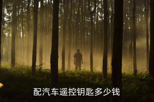 配汽车遥控钥匙多少钱