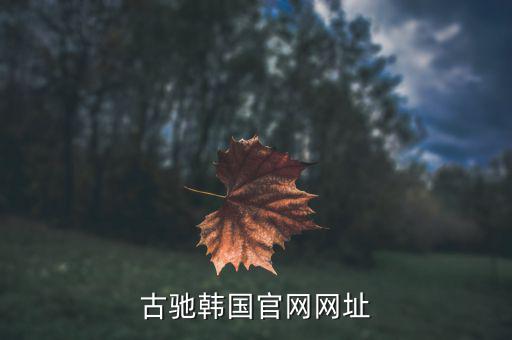 古驰韩国官网网址