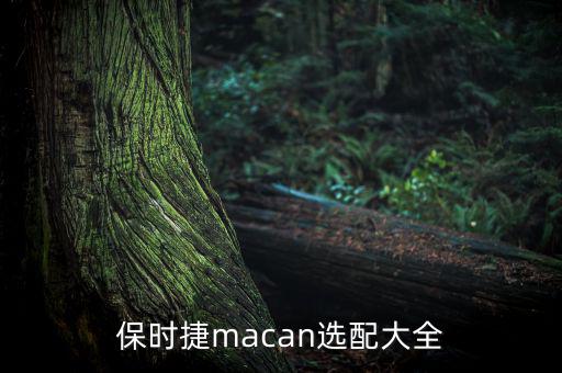 保时捷macan选配大全