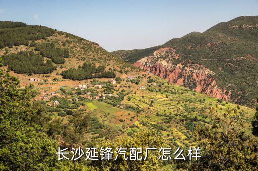 长沙延锋汽配厂怎么样