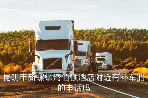 螺蛳湾附近有没有修车的，新螺蛳湾附近电脑维修点