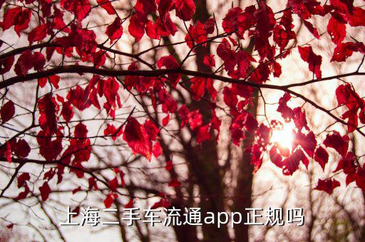 上海二手车流通app正规吗