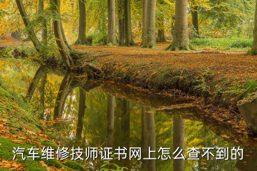 汽车维修技师证书网上怎么查不到的