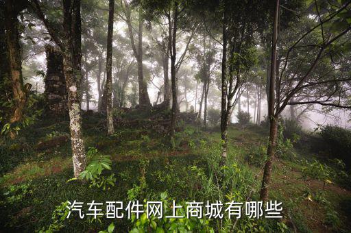 汽车配件网上商城有哪些