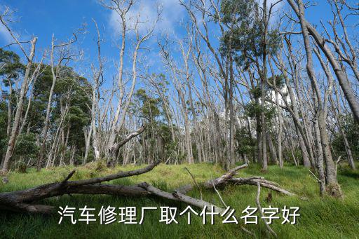 汽车修理厂取个什么名字好