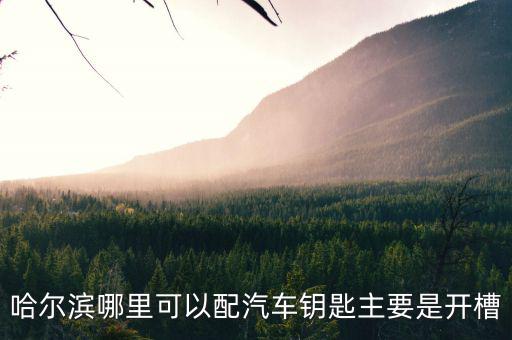 哈尔滨哪里可以配汽车钥匙主要是开槽
