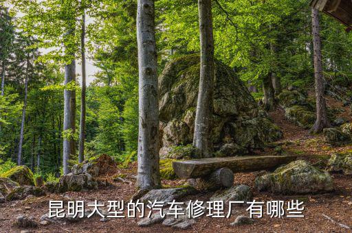 昆明大型的汽车修理厂有哪些