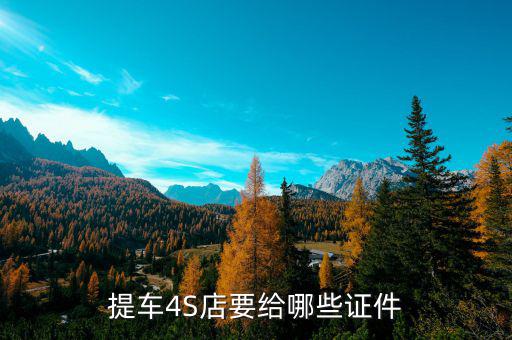 提车4S店要给哪些证件