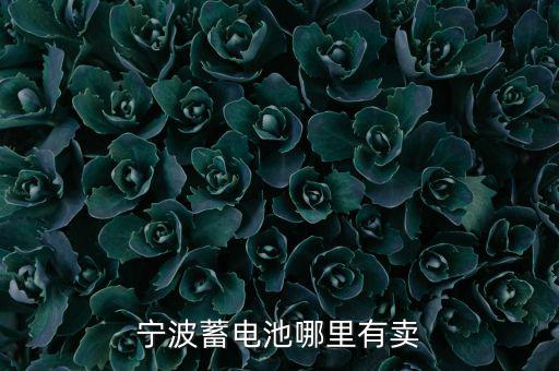 宁波蓄电池哪里有卖