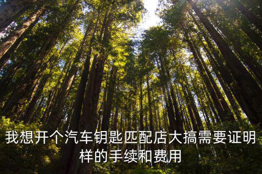 我想开个汽车钥匙匹配店大搞需要证明样的手续和费用