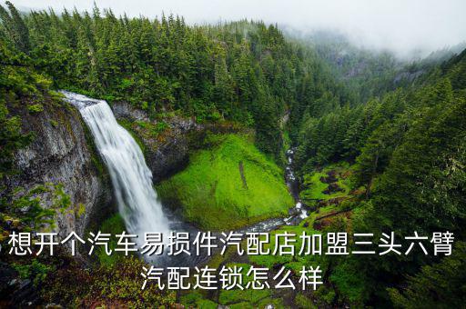 想开个汽车易损件汽配店加盟三头六臂汽配连锁怎么样