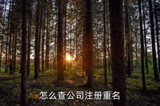 怎么查公司注册重名