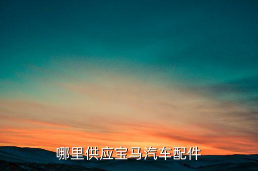 哪里供应宝马汽车配件