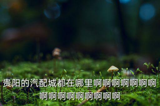 贵阳最大的汽车配件批发市场电话，请问贵阳巨泰汽配主要做什么产品的在贵阳什么位置