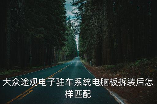 大众途观电子驻车系统电脑板拆装后怎样匹配