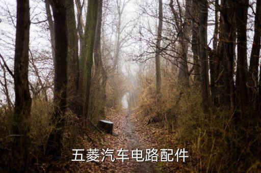 五菱汽车电路配件