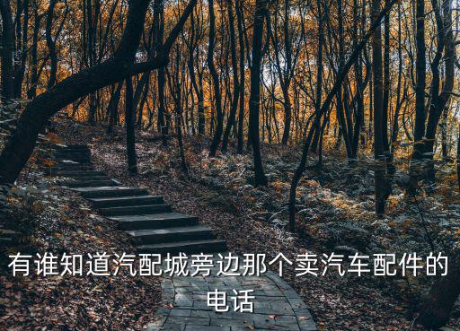广汽传祺汽车配件商城电话，广汽传祺配件哪里有卖的