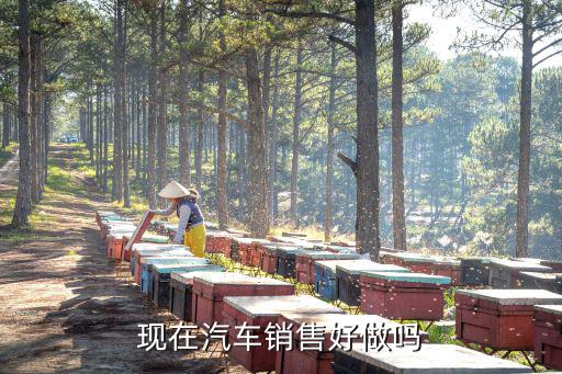 现在汽车销售好做吗