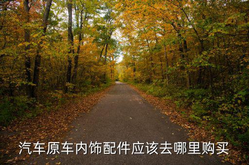 汽车原车内饰配件应该去哪里购买