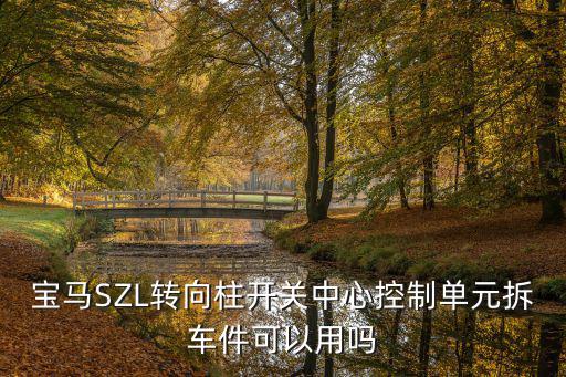 宝马SZL转向柱开关中心控制单元拆车件可以用吗