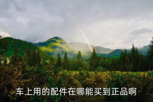 汽车配件哪里能买到原厂车，汽车原车内饰配件应该去哪里购买